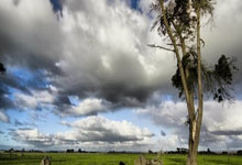 开云官网-荷兰铁骑剑挑巴黎巨舰！阿贾克斯王子公园上演欧冠史诗