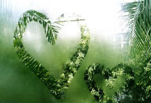 开云体育app-蒙特雷主场迎战鹿岛鹿角，锋线火力引爆看点