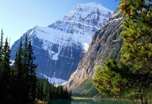 开云APP-沸腾的客场：当山呼海啸的欢呼为对手而响