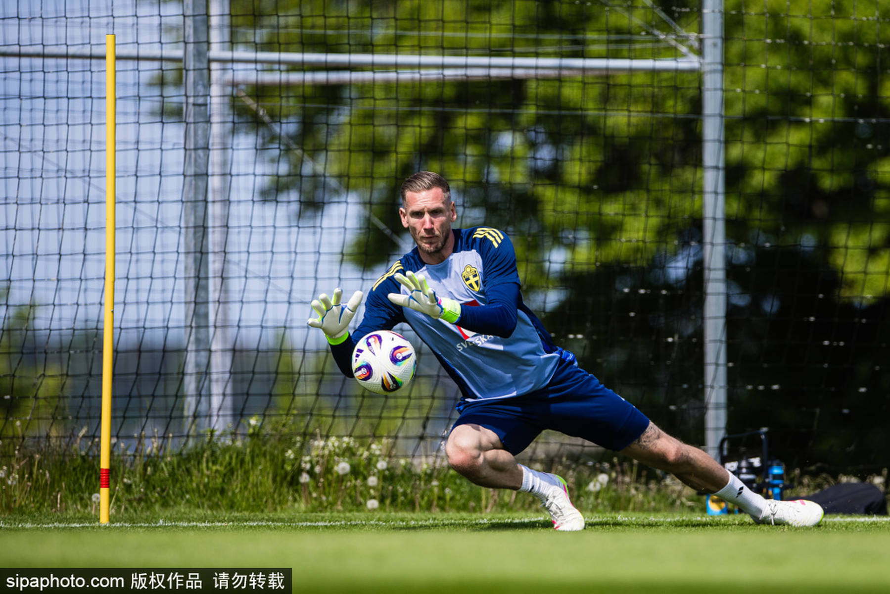 开云体育官网-瑞典国家队大胜阿尔巴尼亚，晋级前途一片光明的简单介绍