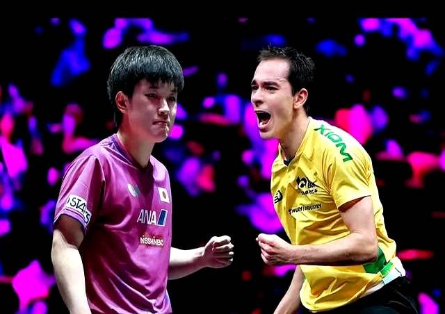 开云体育-关于比利时乒乓球队险胜法国乒乓球队,张本智和绝境逆转的信息