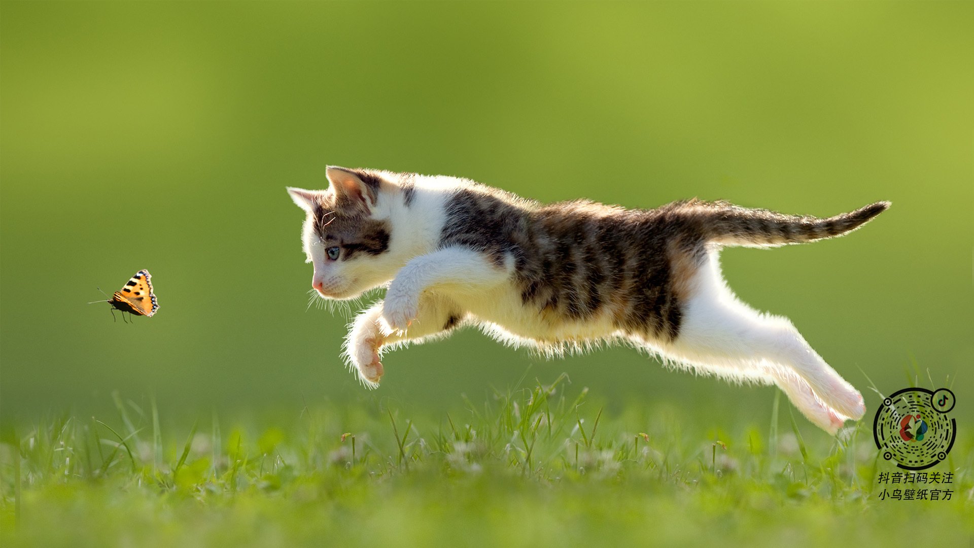 开云体育-夜战英超，布克关键一球定乾坤，争冠悬念终落幕