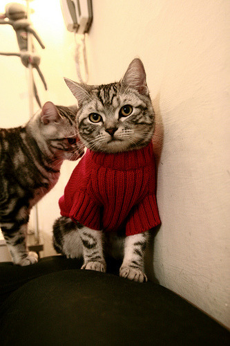 广厦队防守锁死雷霆，詹姆斯扛起全队奏响胜利凯歌