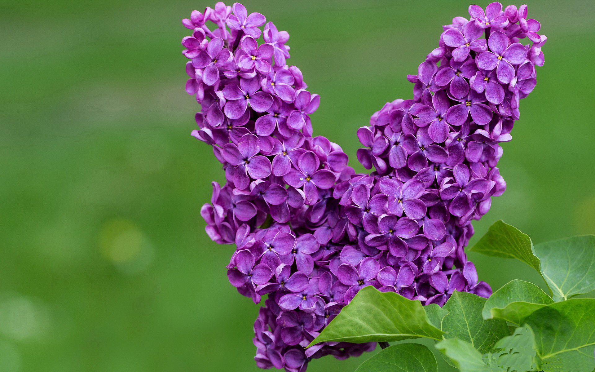 冰与火的对决，阿什拉夫一战刷新历史，定义现代边卫新哲学