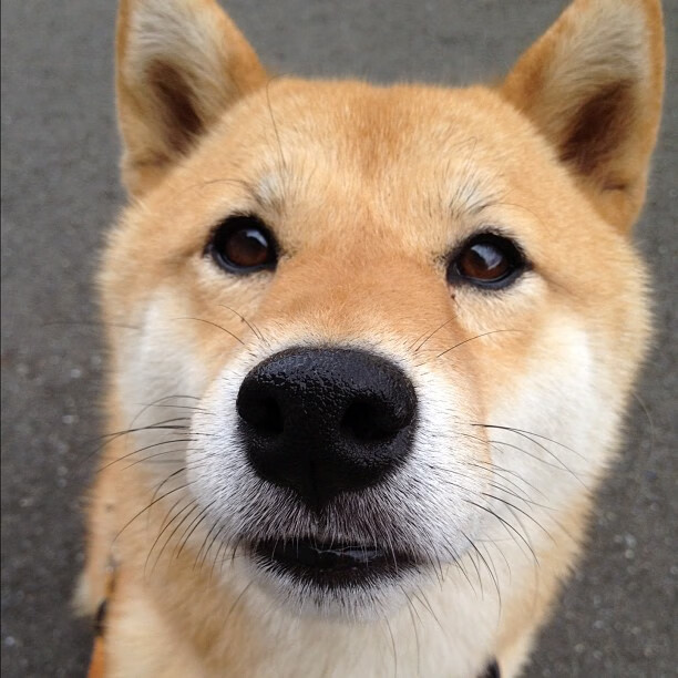 开云体育在线-迪亚斯进攻端无人可挡，奥地利加时绝杀那不勒斯—现代足球的锋利与坚韧