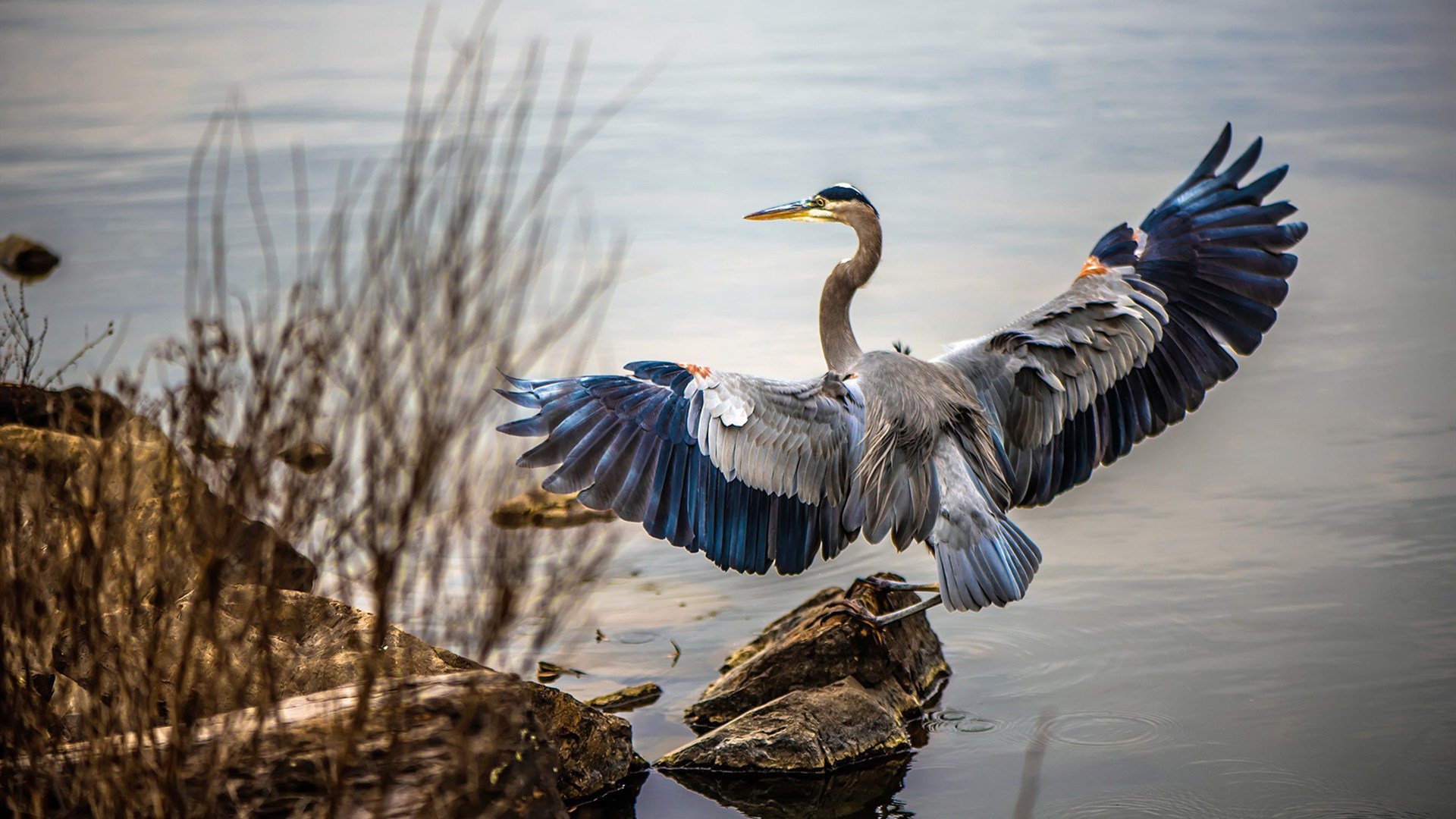 布鲁诺神之一手，奥运前夜，他让悬念在11分28秒终结
