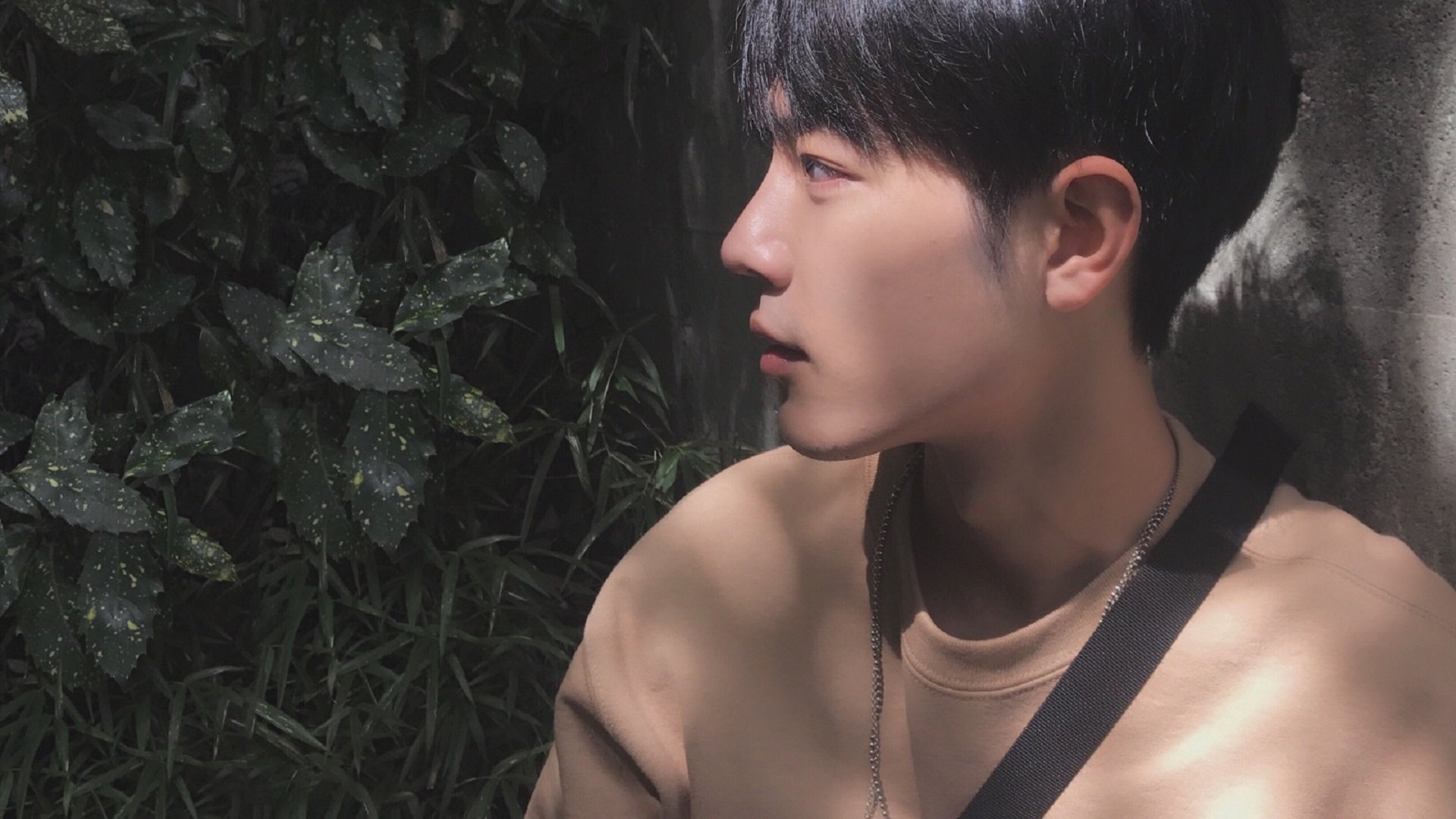 开云体育登录-F1新赛季揭幕战焦点战，澳大利亚绝杀英格兰，激情与策略铸就经典对决