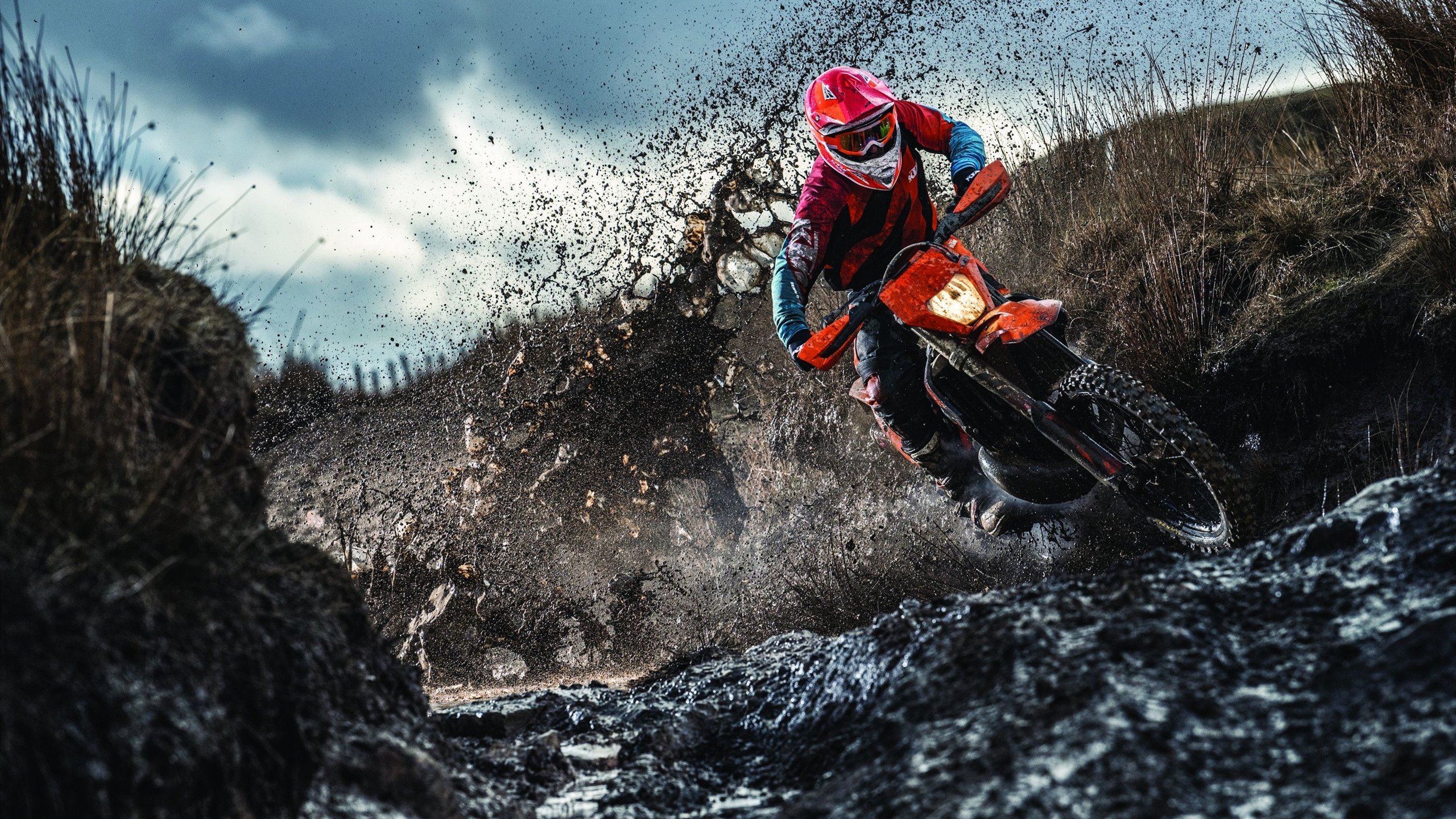 开云官网-世界杯之夜的篮球之声，布伦森在北美大陆证明自己