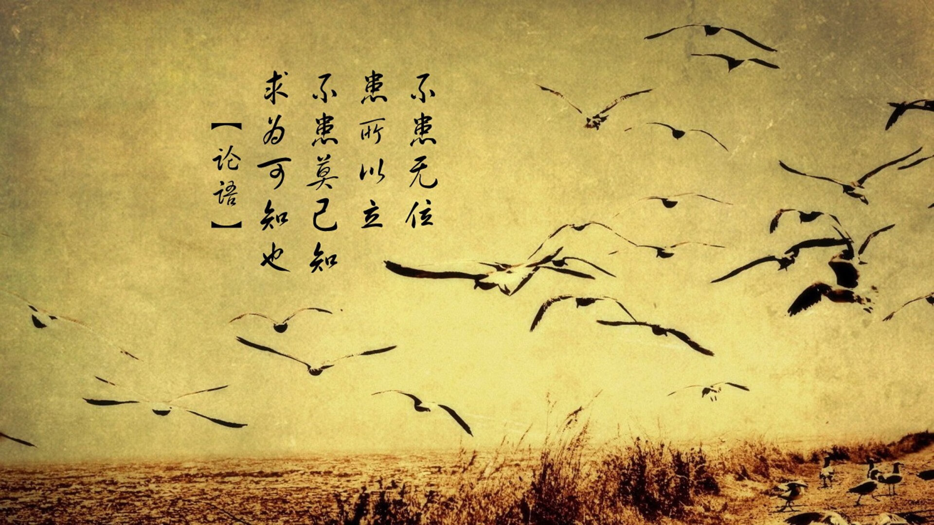 开云体育中国-杜兰特爆发背后，76人战术体系如何完成对骑士的战略绞杀？