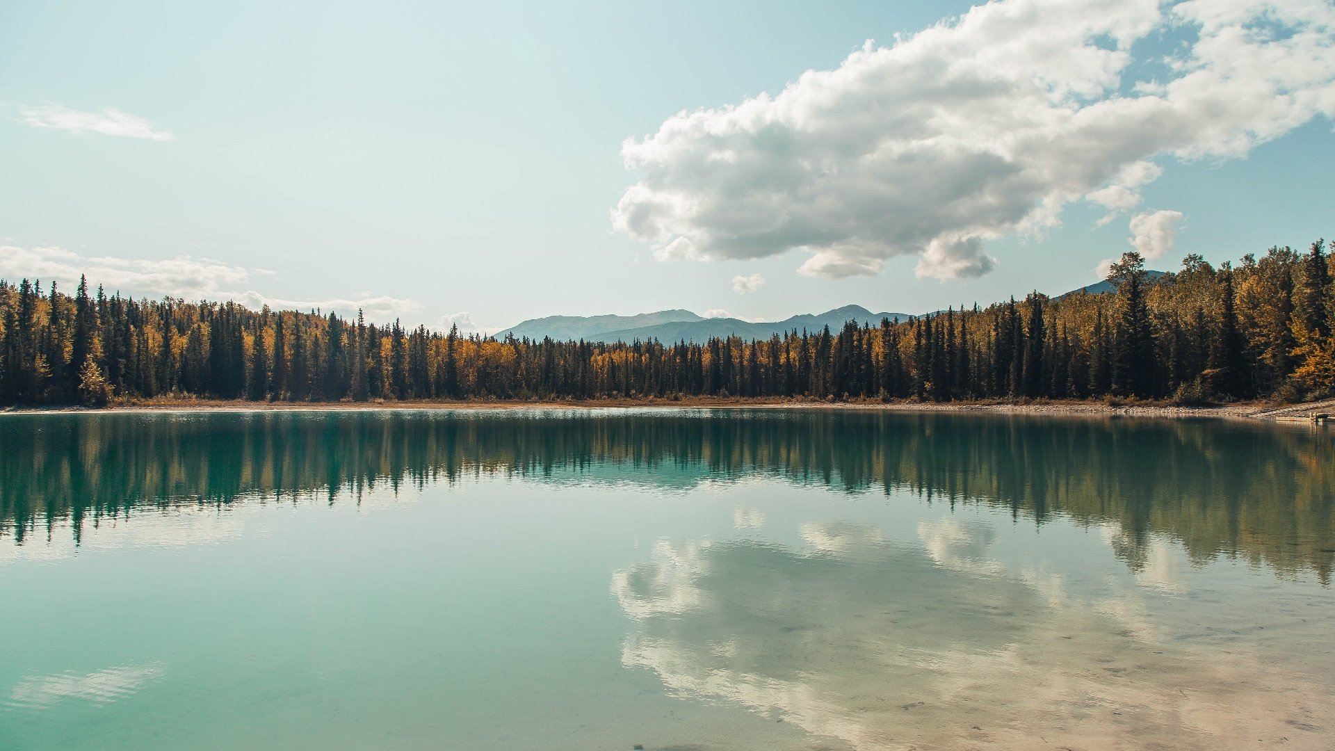 深圳拼尽全力虽败犹荣!锡安关键回合一剑封喉,诠释巨星本色