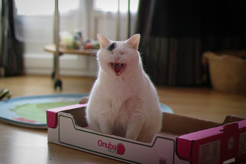 三巨头62分难敌关键先生！德罗赞末节独舞击溃太阳