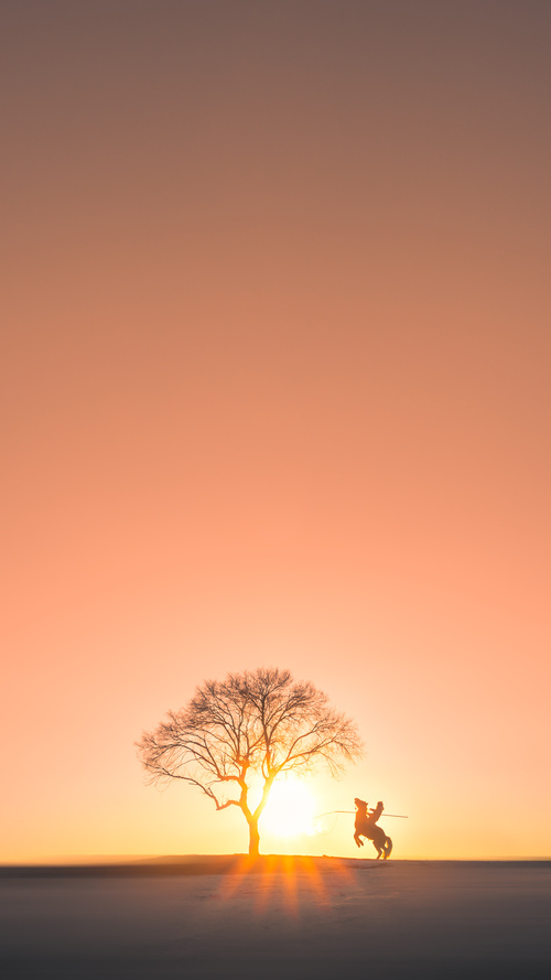 德罗赞化身防守铁闸锁死对手，猛龙力擒黄蜂昂首挺进次轮